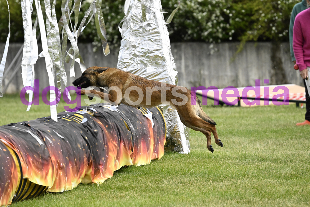 Preview _JRI_21477.jpg